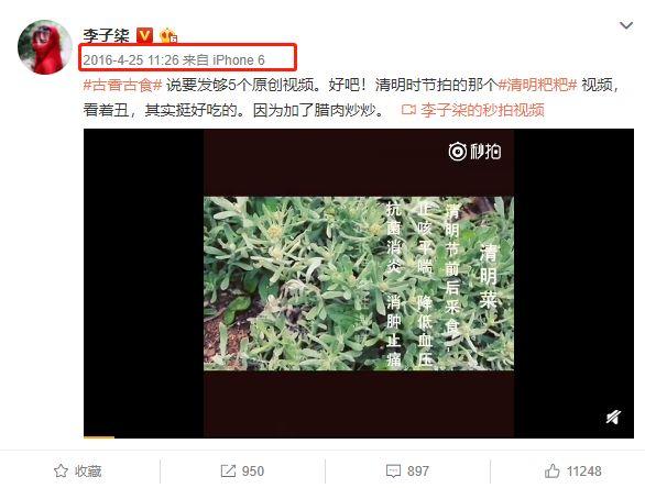 “李子柒”背后到底有没有团队？告诉你真相又何妨？