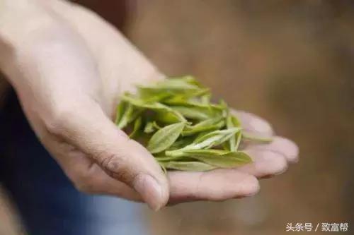 只要营销做得好，卖茶叶其实很简单