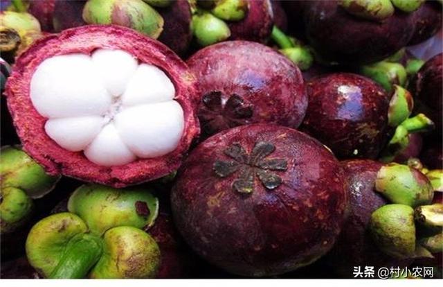 谁说农村创业不靠谱，很多人都回村发展种植业！到底种啥才赚钱？