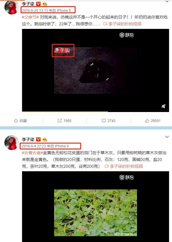 “李子柒”背后到底有没有团队？告诉你真相又何妨？