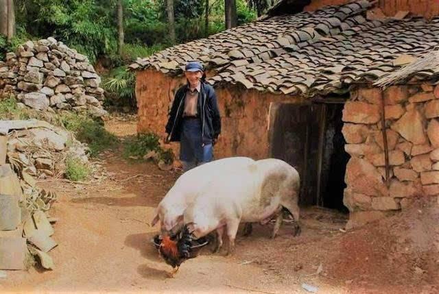 农村创业致富的方法及注意事项