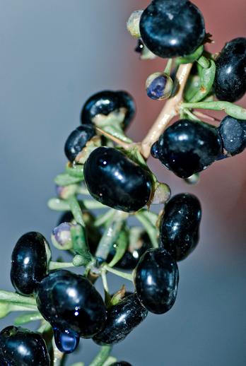 在天津，什么样的人最适合创业？