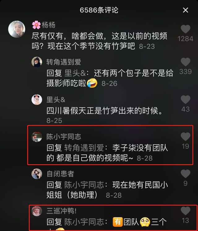 “李子柒”背后到底有没有团队？告诉你真相又何妨？