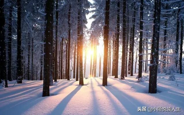 老实人过得“没有出息”，是因为过分看重了这四种“品质”