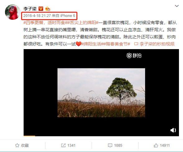 “李子柒”背后到底有没有团队？告诉你真相又何妨？