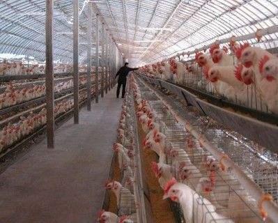 农村创业致富的方法及注意事项