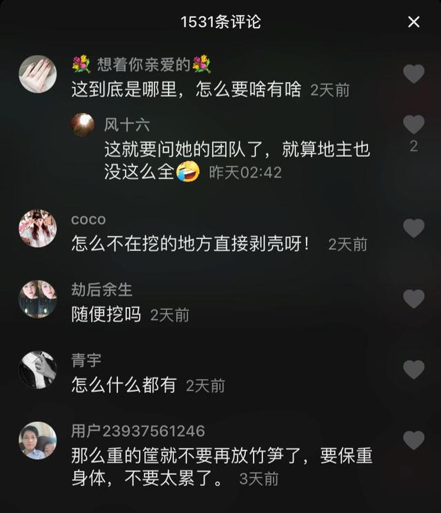 “李子柒”背后到底有没有团队？告诉你真相又何妨？