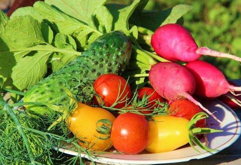 创业不分冷门热门，只在乎挣钱多少，这些赚钱的好项目值得推荐