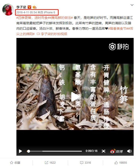 “李子柒”背后到底有没有团队？告诉你真相又何妨？