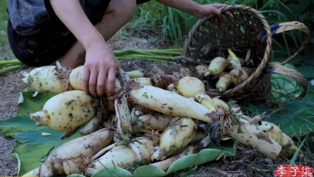 “李子柒”背后到底有没有团队？告诉你真相又何妨？