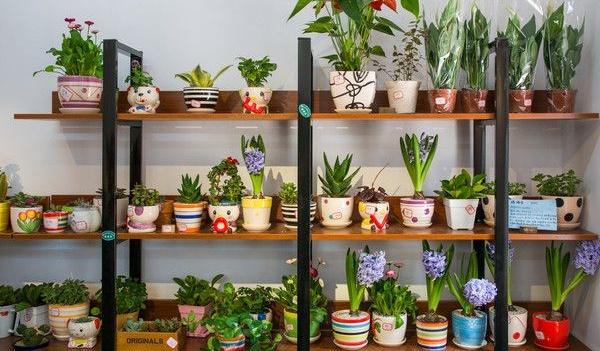 小本创业利润多，10个贴近生活的好项目分享给大家