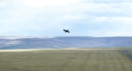 亚马逊无人机准备送货！续航24公里30分钟内送到