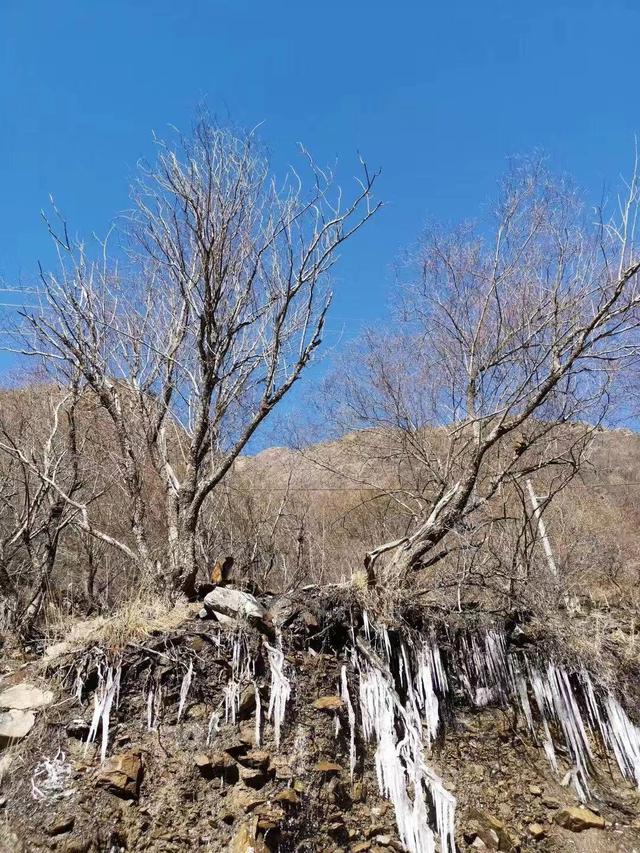 营销洞察｜揭秘直复式营销