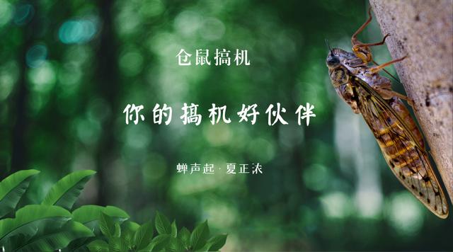 如何判断手机屏幕好坏？“坏点”如何检测？一招自检