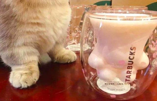 爆款营销如何做？这3个实际案例告诉你，套路和潮流都要牢牢抓好