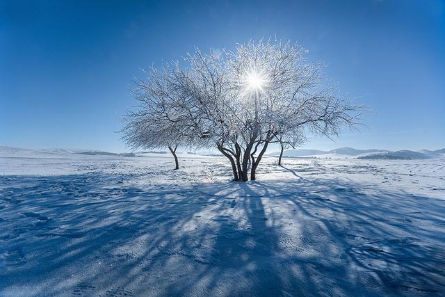 想知道最火的短视频怎么制作？看这里，让您快速增粉。