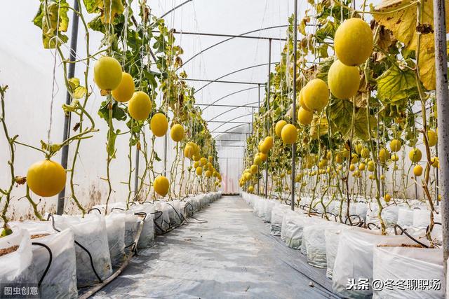 人到中年，打工打不动了，这4个创业项目或许适合你