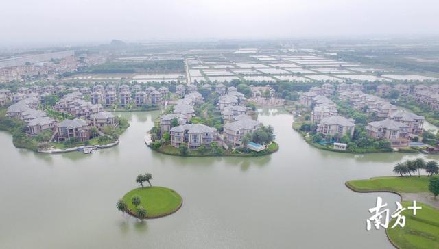 投资超200亿元！三角镇去年招商77个项目，引进多个创新型项目