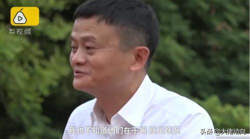 今年双11，淘宝的成交额为2684亿元人民币，带货网红贡献了多少？