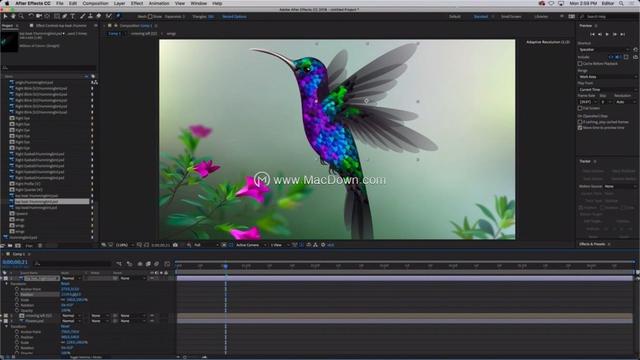 2019年流行的网页设计软件，想要做好网页设计这些软件你不可不学