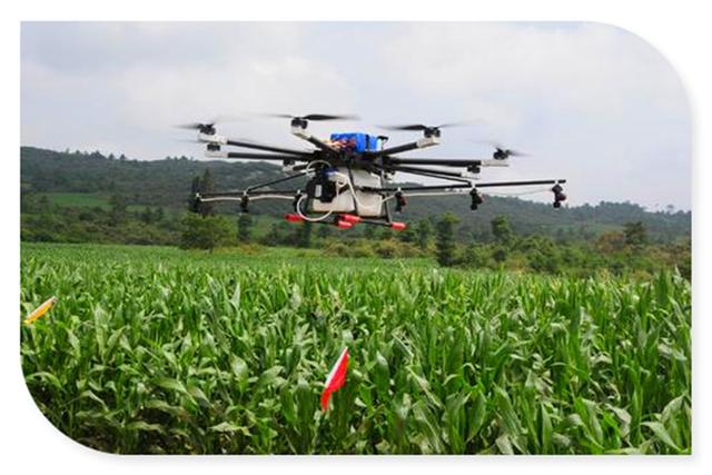 目前在乡镇创业，适合做哪些项目？这几个可以