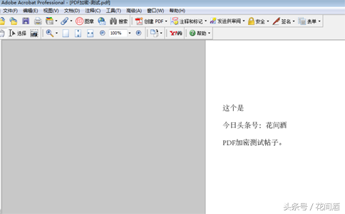 PDF快速给文档加密码，禁止复制和修改！