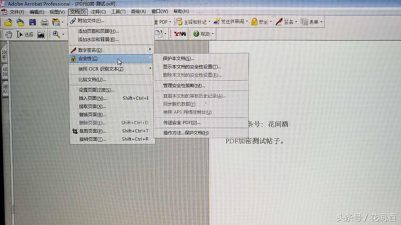 PDF快速给文档加密码，禁止复制和修改！