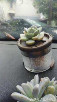 光老创业有感：谈谈创业者与生意人的关系