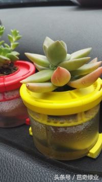 光老创业有感：谈谈创业者与生意人的关系