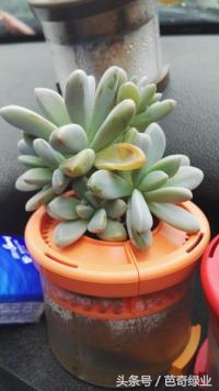 光老创业有感：谈谈创业者与生意人的关系