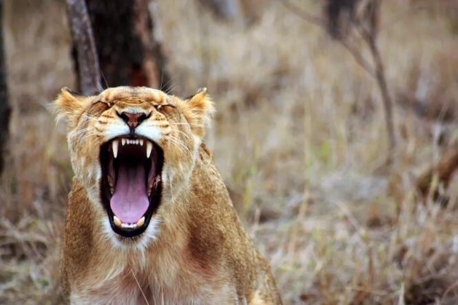 全新今日头条引流攻略 今日头条 流量 自媒体 经验心得 第2张