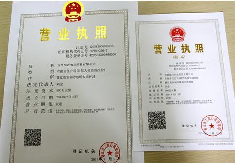 税务登记执行“三证合一”流程怎么规定的