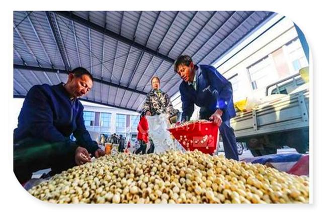 目前在乡镇创业，适合做哪些项目？这几个可以