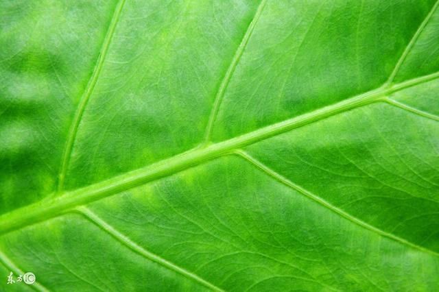 看了秒懂的配色大原则