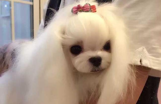 推荐几个发展较好的创业点子，人人都可以做，此后摆脱穷人生活