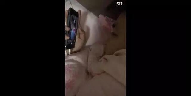 17种抖音套路，教你预测怎么拍会火