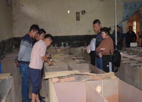 适合农民创业的5个小项目，可实现财务自由