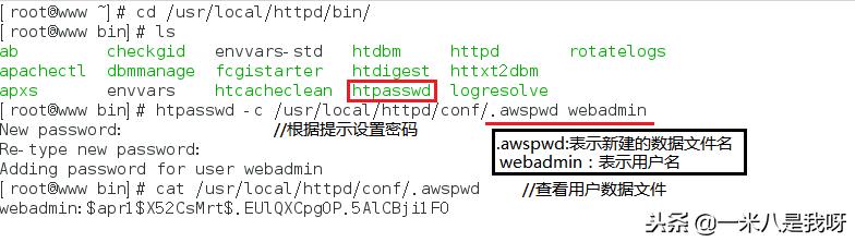 如何搭建属于自己的一个网站
