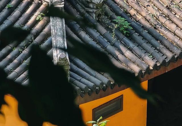 做市场分析，要学会这5种市场打法