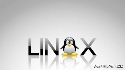 Linux系统的发展历史和学习前景介绍