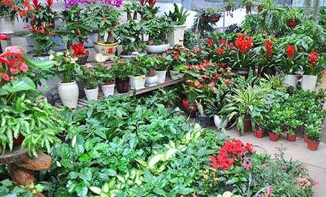 2018年十个最值得小额投资的项目！创业要趁早（前三个）！！