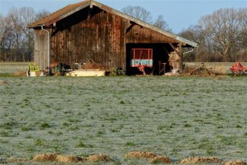 现在返乡创业国家有什么扶持政策？2020返乡创业有这三项扶持