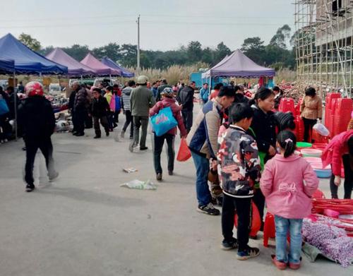 农村这5个创业非同寻常，都是赚钱的好项目