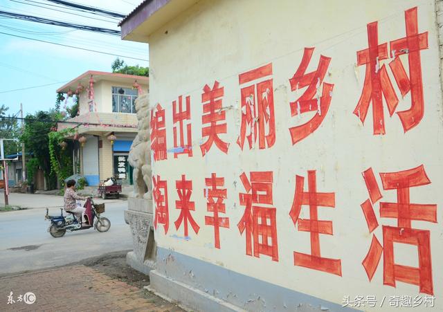 在农村创业做什么好？2018有前景的农村创业项目推荐！