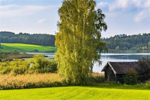 现在返乡创业国家有什么扶持政策？2020返乡创业有这三项扶持