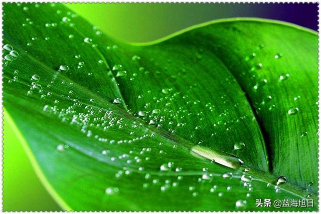 投资10万元创业，他选择了这几类生意，每天有200多元的收益