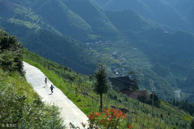 为什么要开通村淘，揭秘农村淘宝是怎么赚钱的？