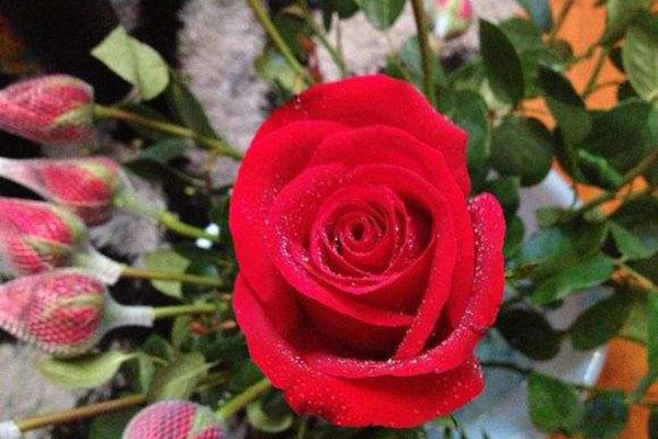 5000元创业做什么能赚钱？