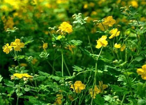 2019年个人创业干点啥好呢？（推荐这四大行业）