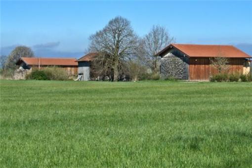 现在返乡创业国家有什么扶持政策？2020返乡创业有这三项扶持